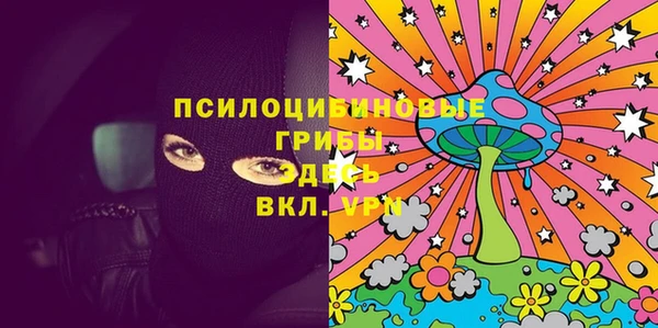 ешки Арсеньев